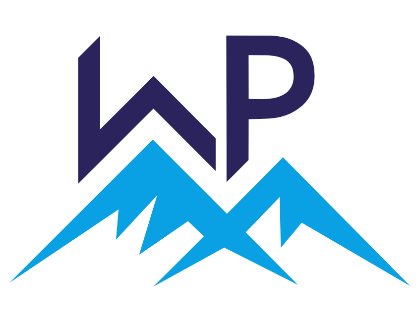 wp-meister-logo