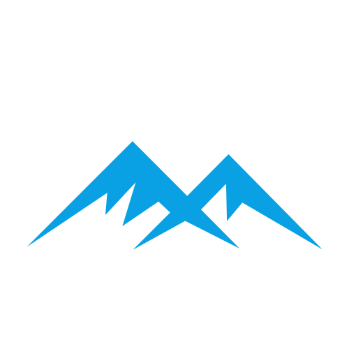 wp-meister-footer-logo